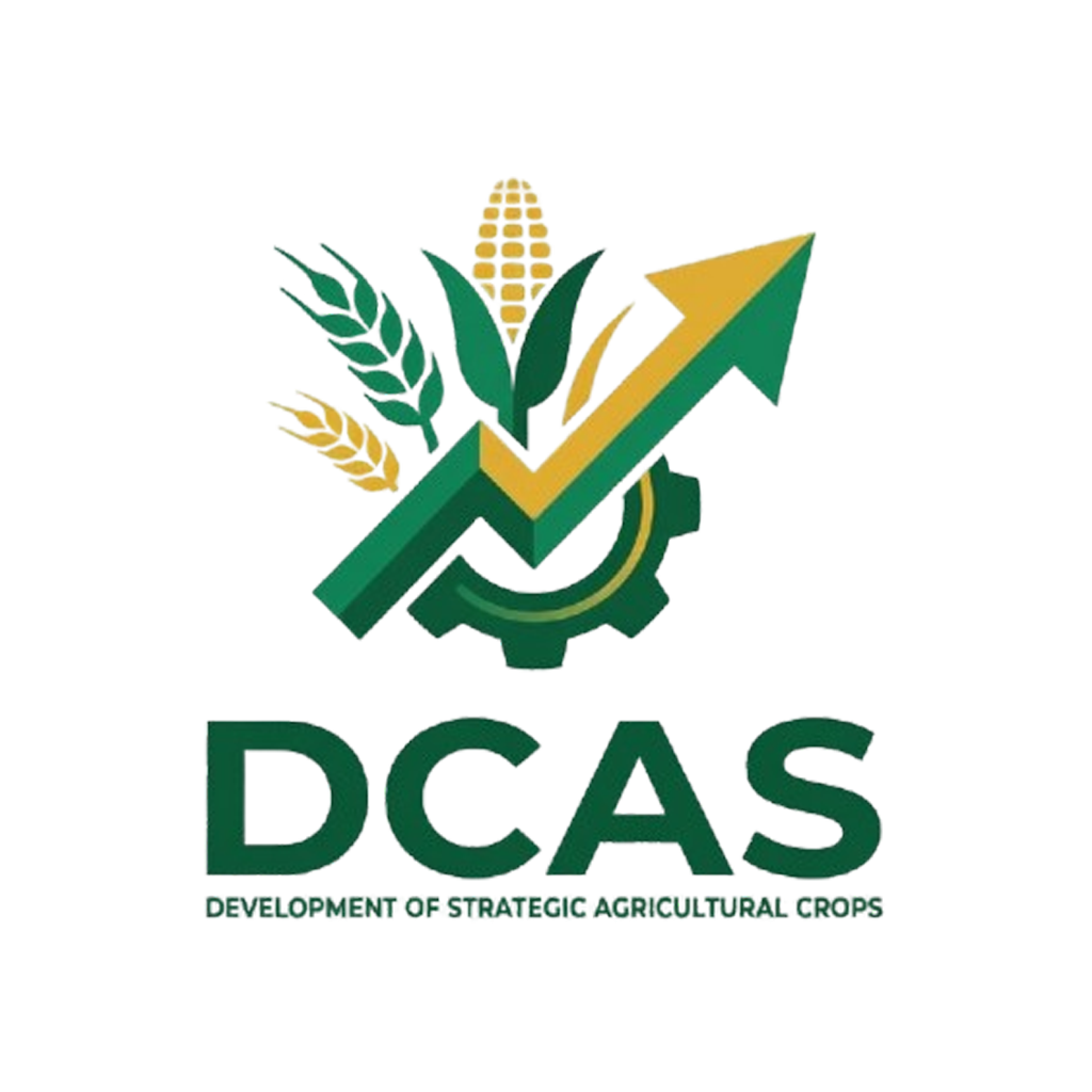 DCAS Logo